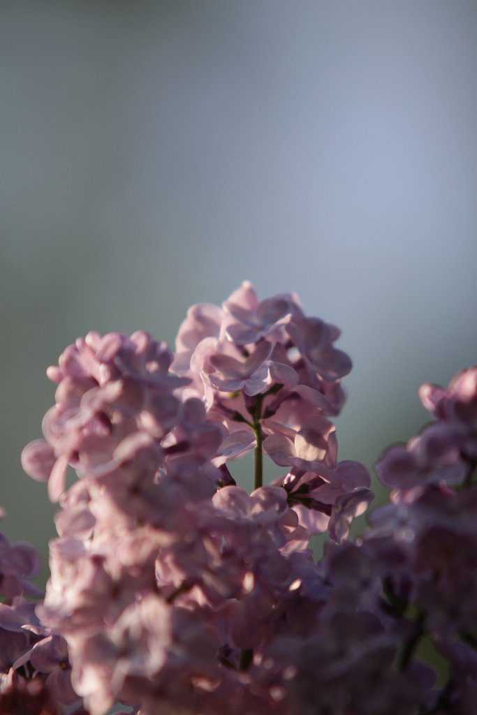 IMG-1813.jpg