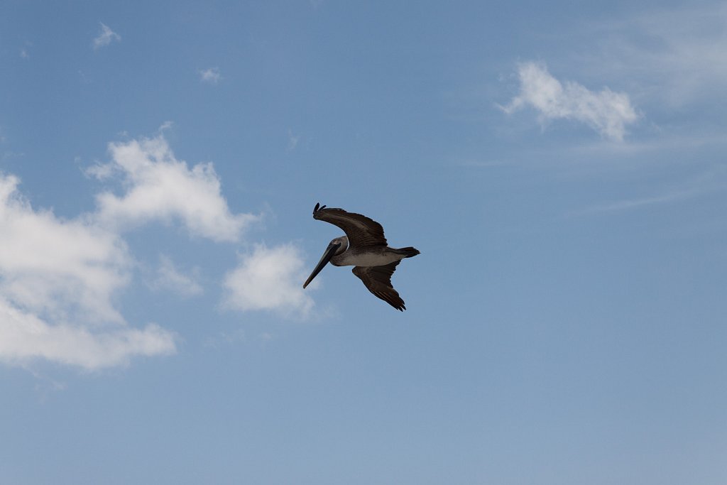 IMG-0714.jpg