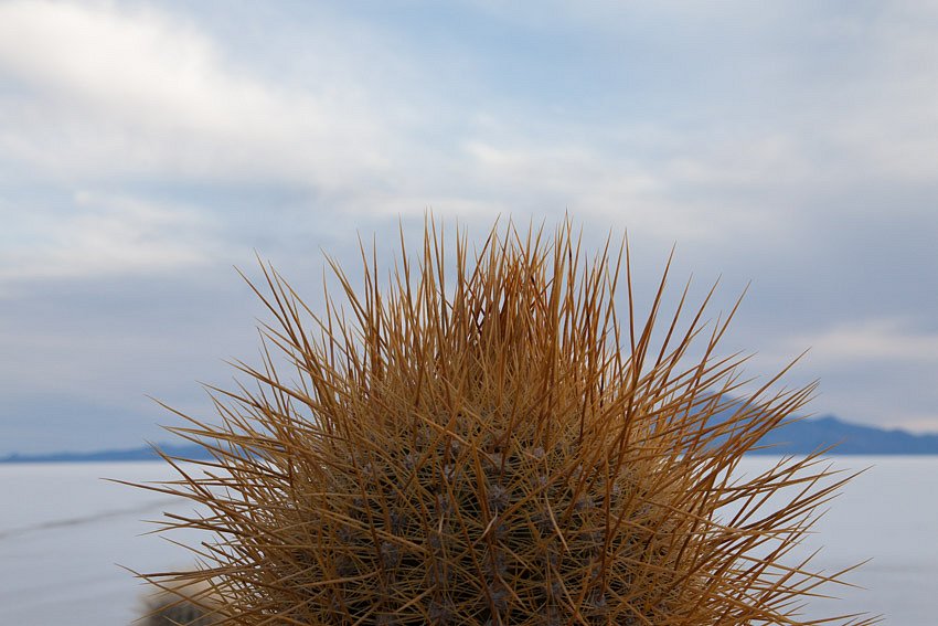 IMG-3824.jpg
