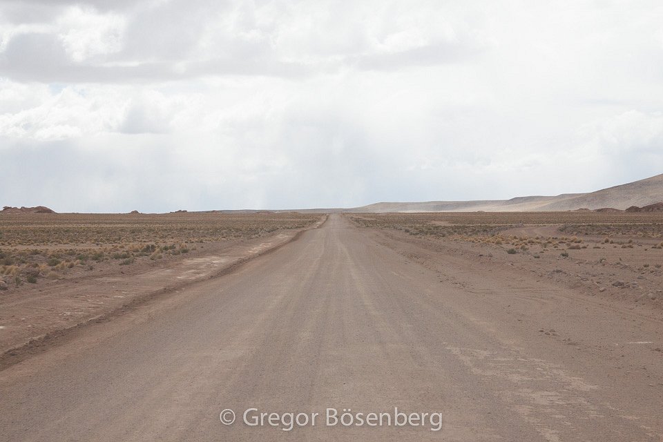 IMG-3724.jpg