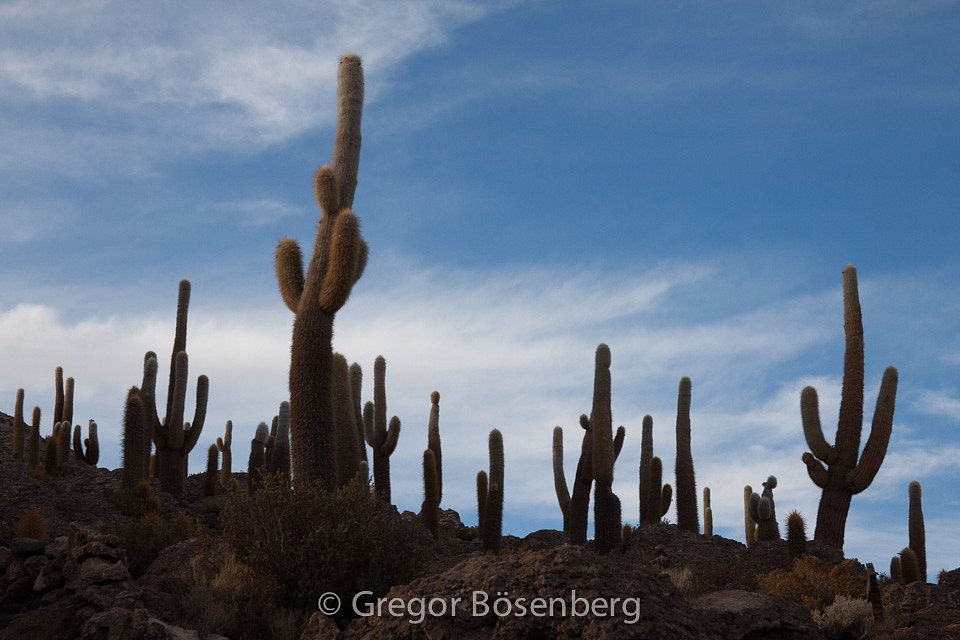 IMG-3846.jpg