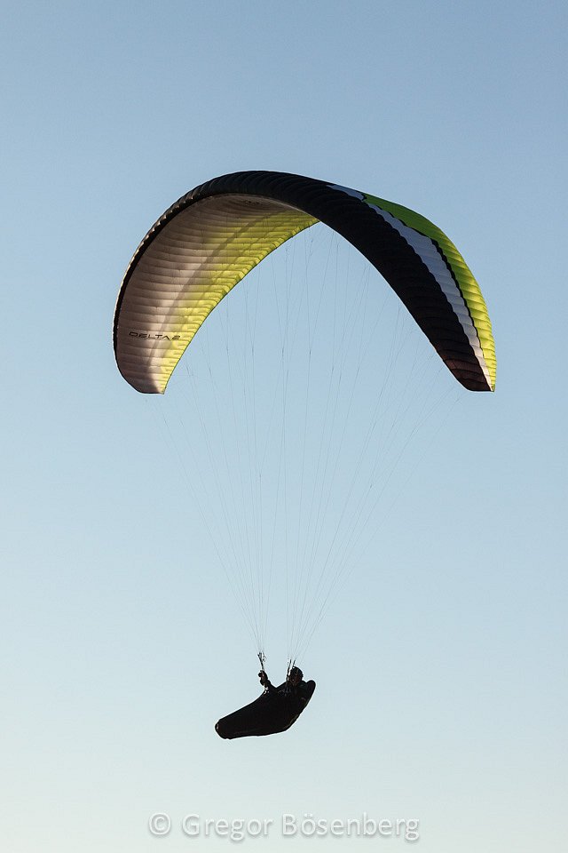 IMG-1561.jpg