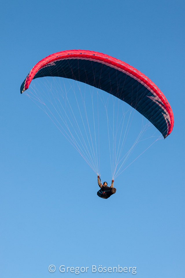 IMG-1601.jpg