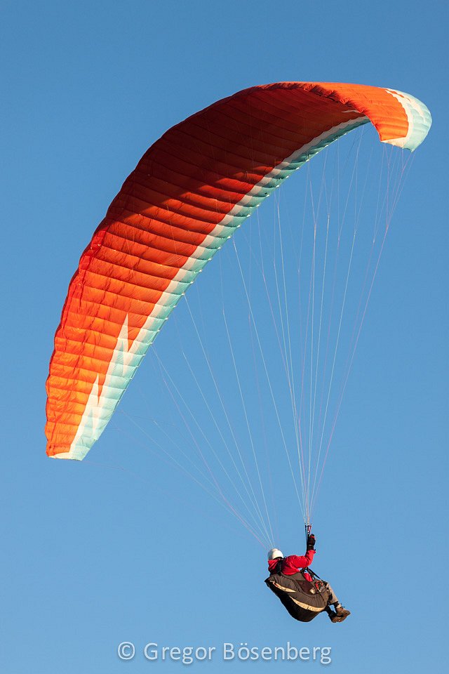 IMG-1623.jpg