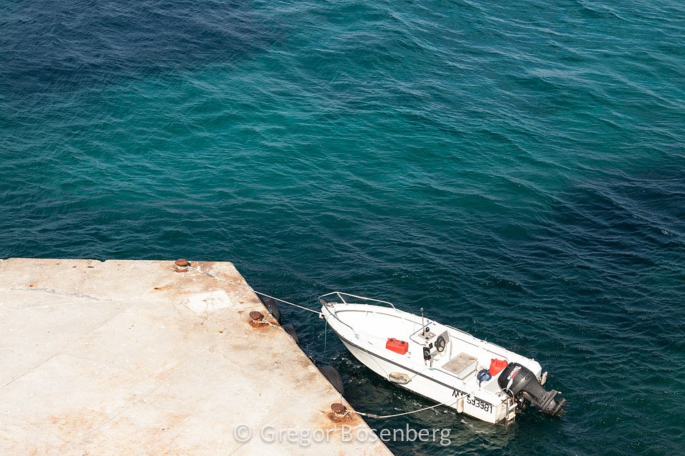 IMG-1255.jpg