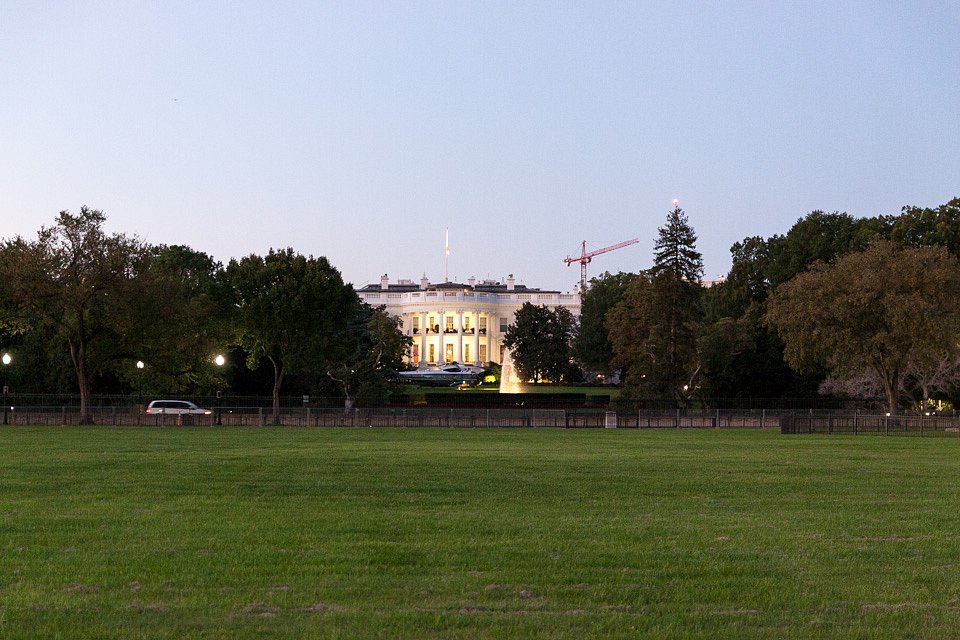IMG-6446.jpg