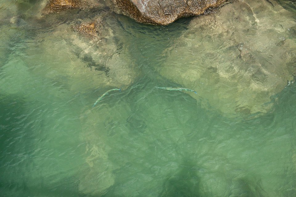 IMG-6766.jpg