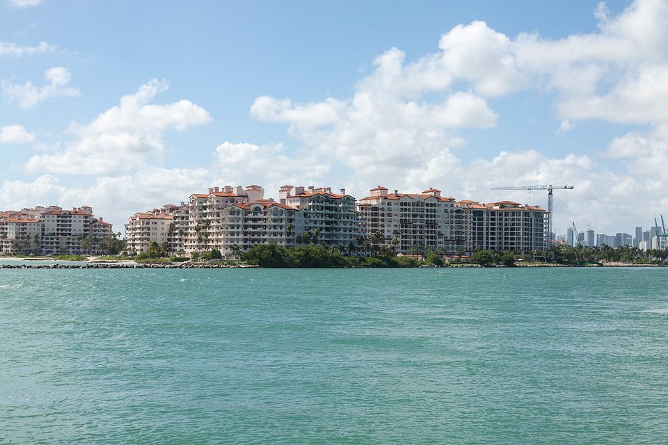 IMG-6770.jpg