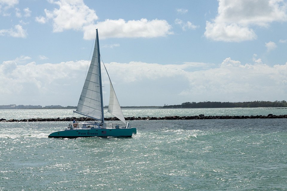 IMG-6772.jpg