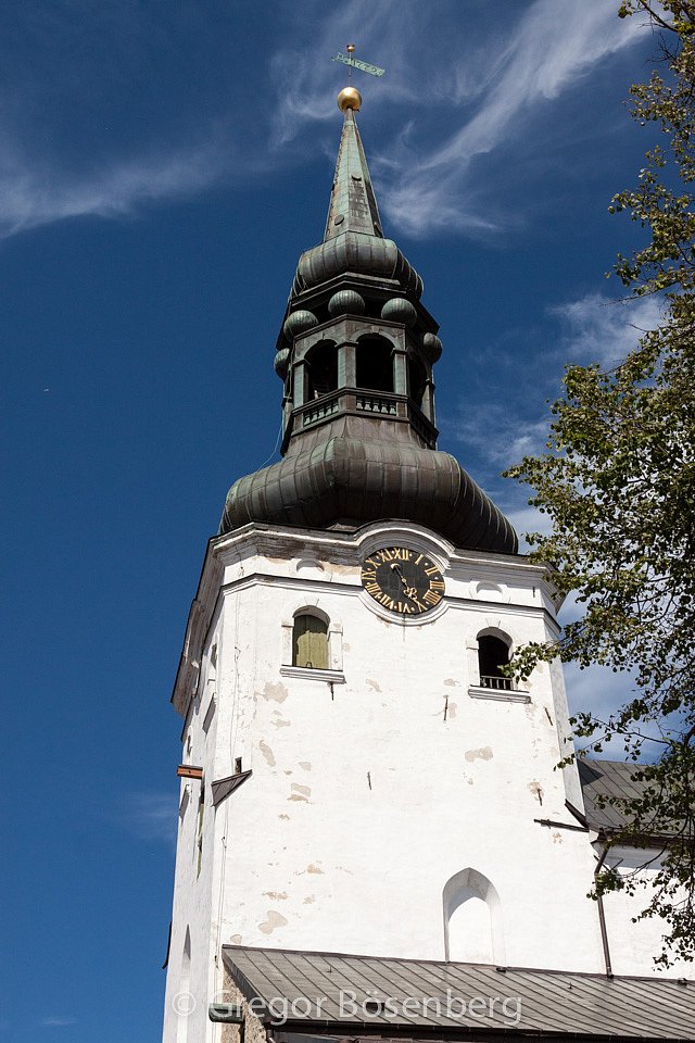 IMG-8567.jpg