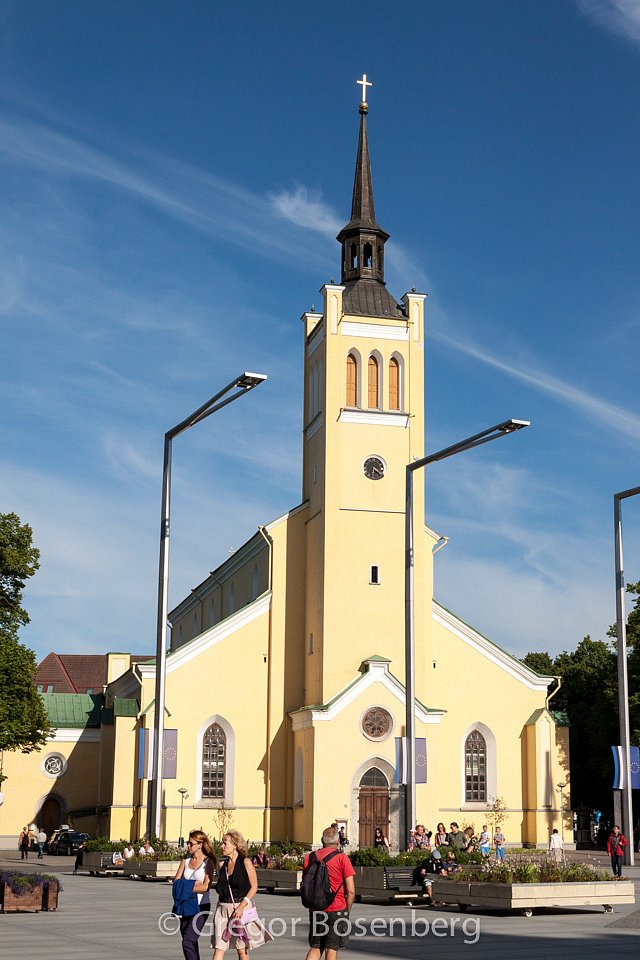 IMG-8698.jpg