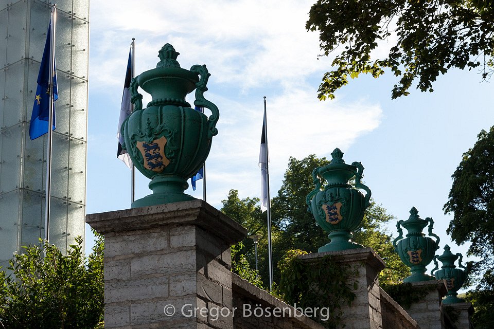 IMG-8700.jpg