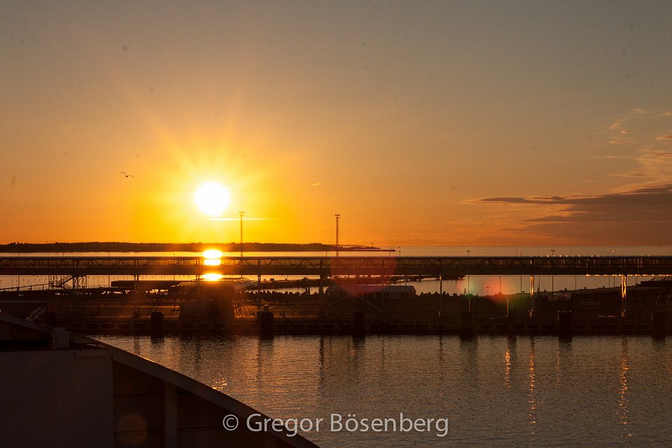 IMG-8707.jpg