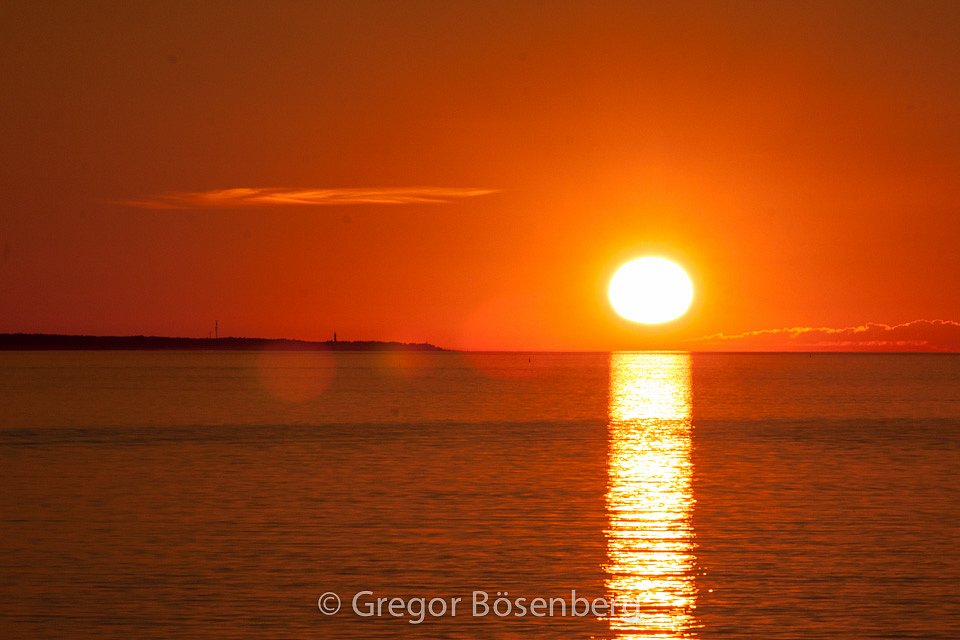 IMG-8740.jpg