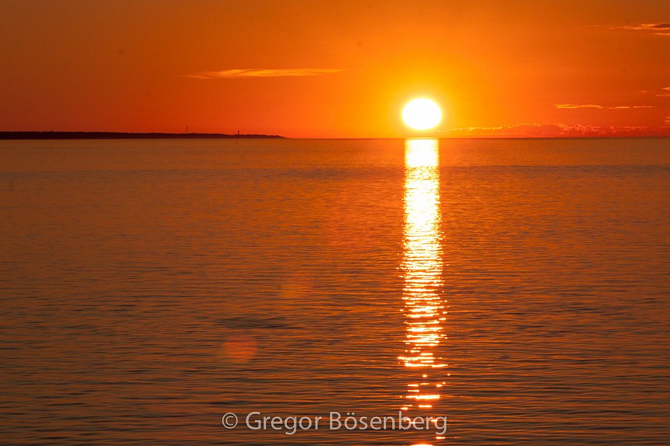 IMG-8749.jpg