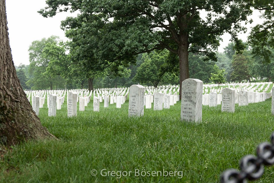 IMG-9649.jpg