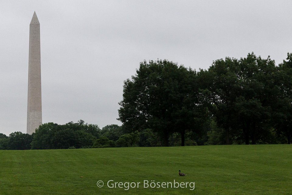 IMG-9696.jpg