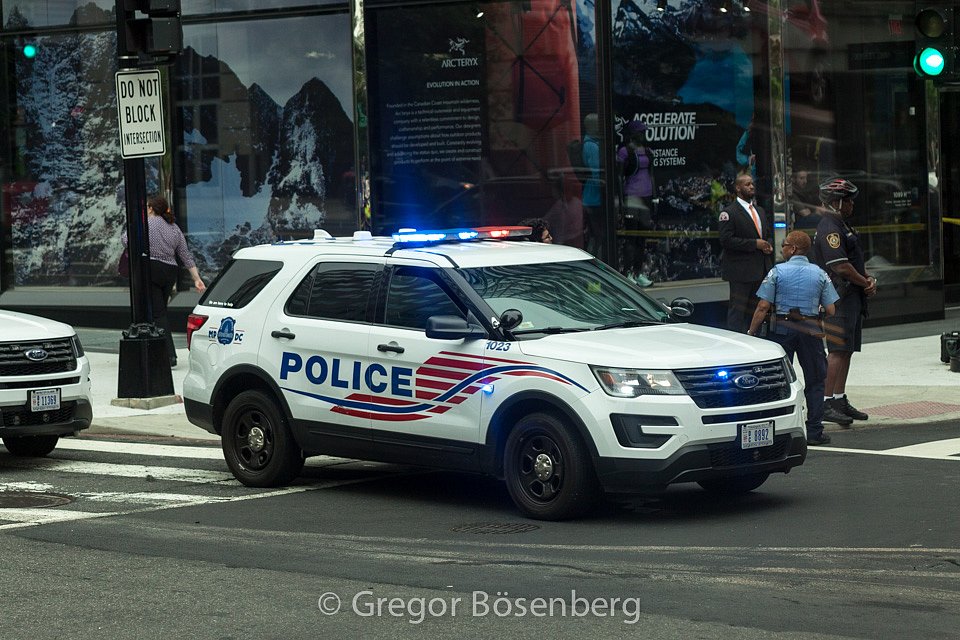 IMG-9723.jpg