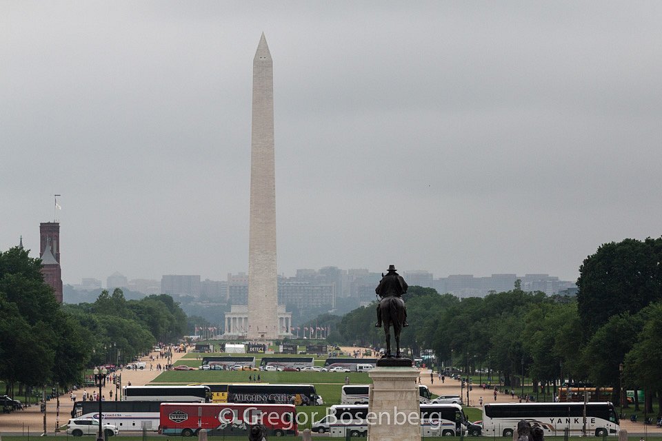IMG-9737.jpg