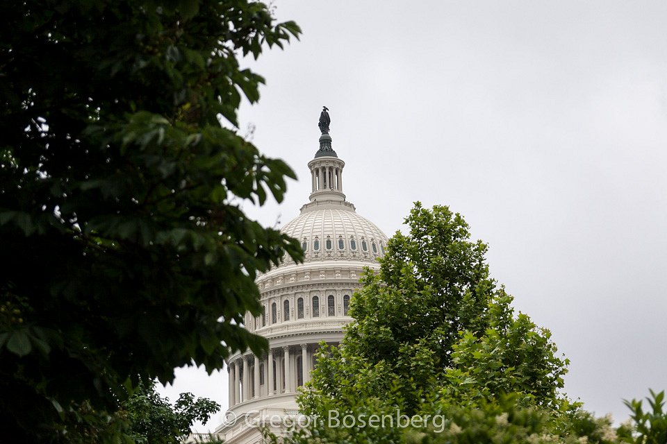 IMG-9742.jpg