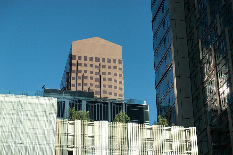IMG-9758.jpg
