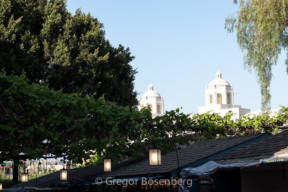 IMG-9765.jpg