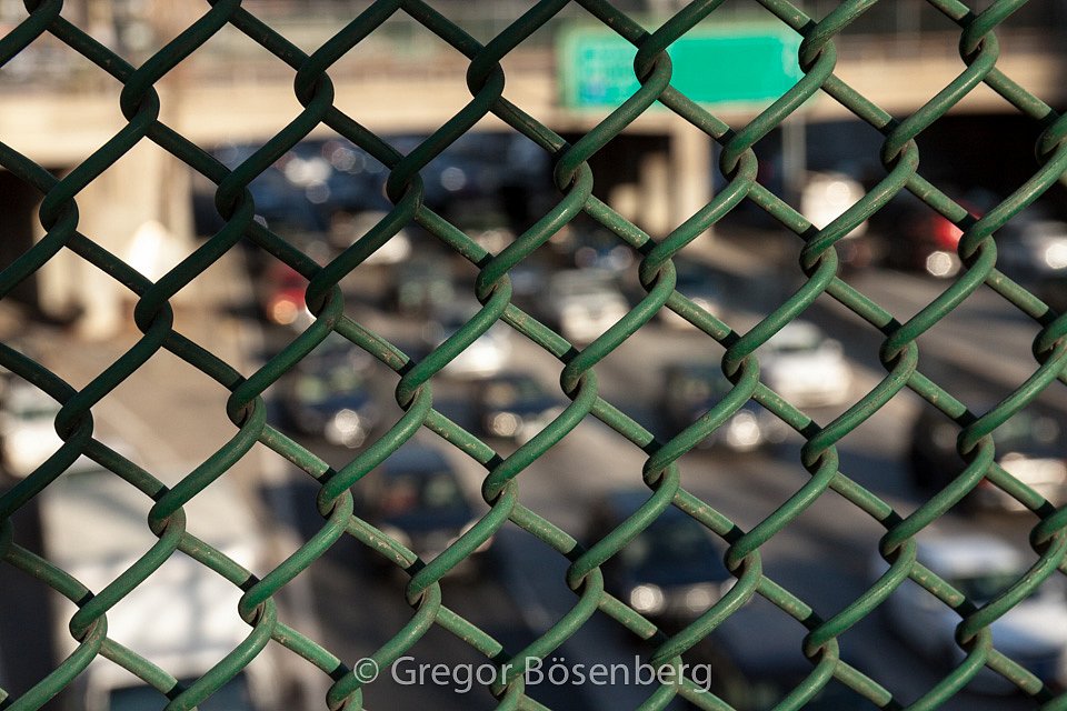 IMG-9768.jpg