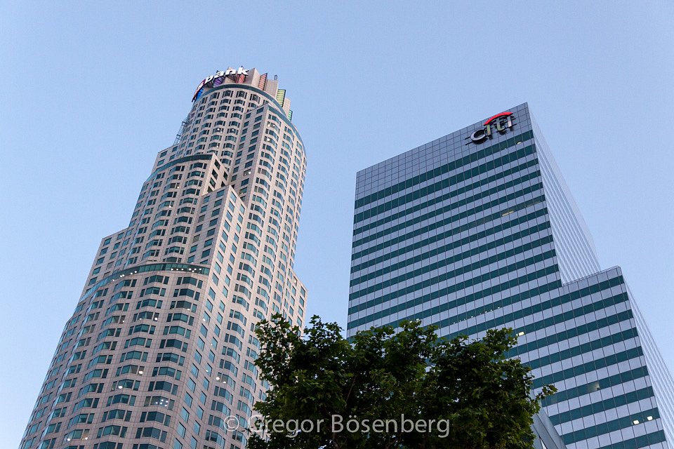 IMG-9784.jpg