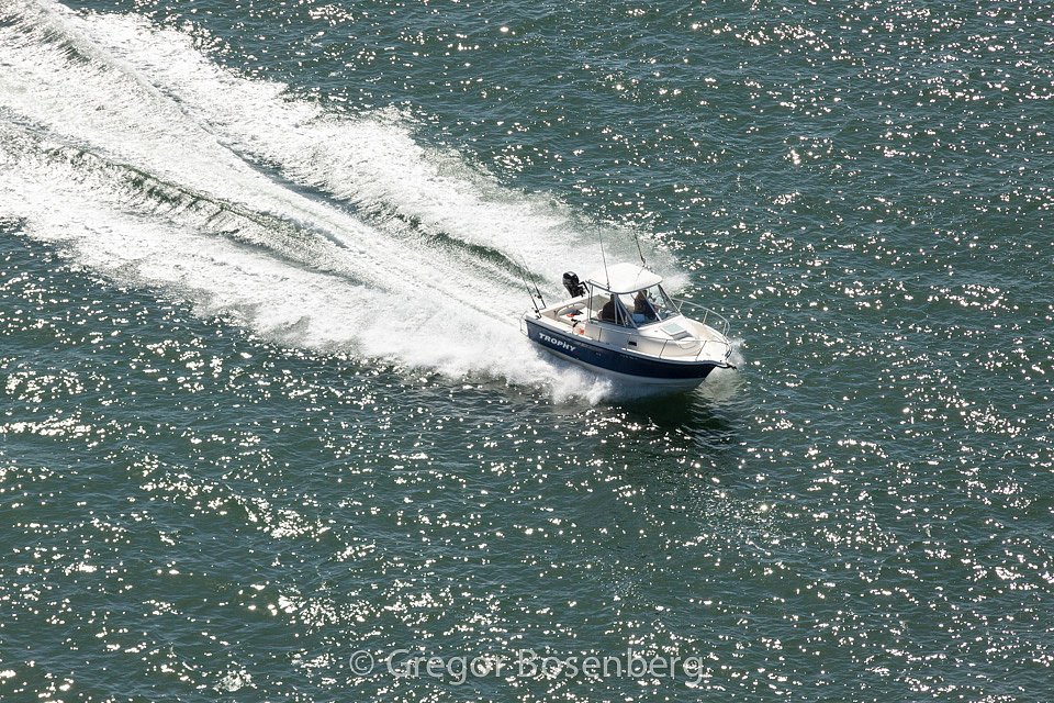 IMG-1091.jpg