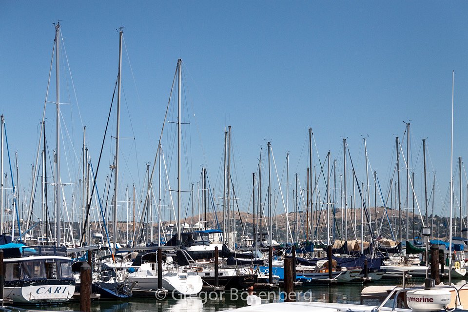 IMG-1130.jpg