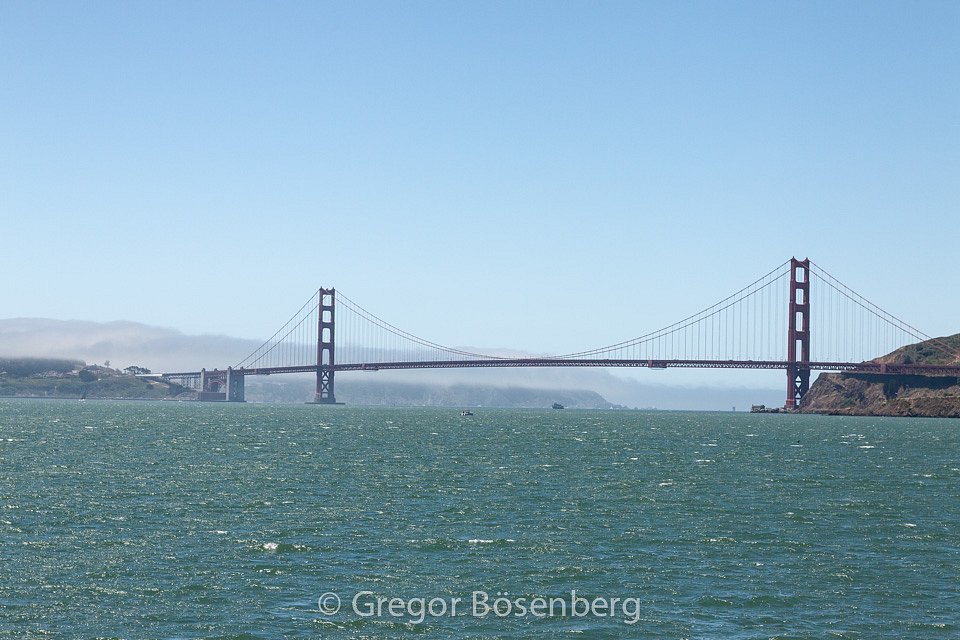 IMG-1139.jpg