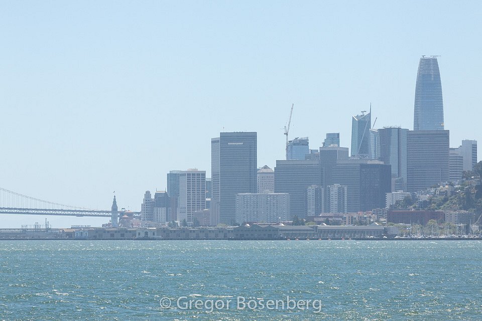 IMG-1161.jpg