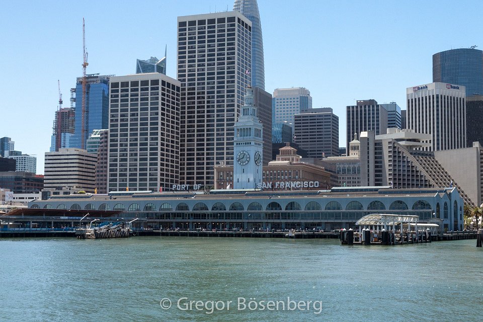 IMG-1183.jpg