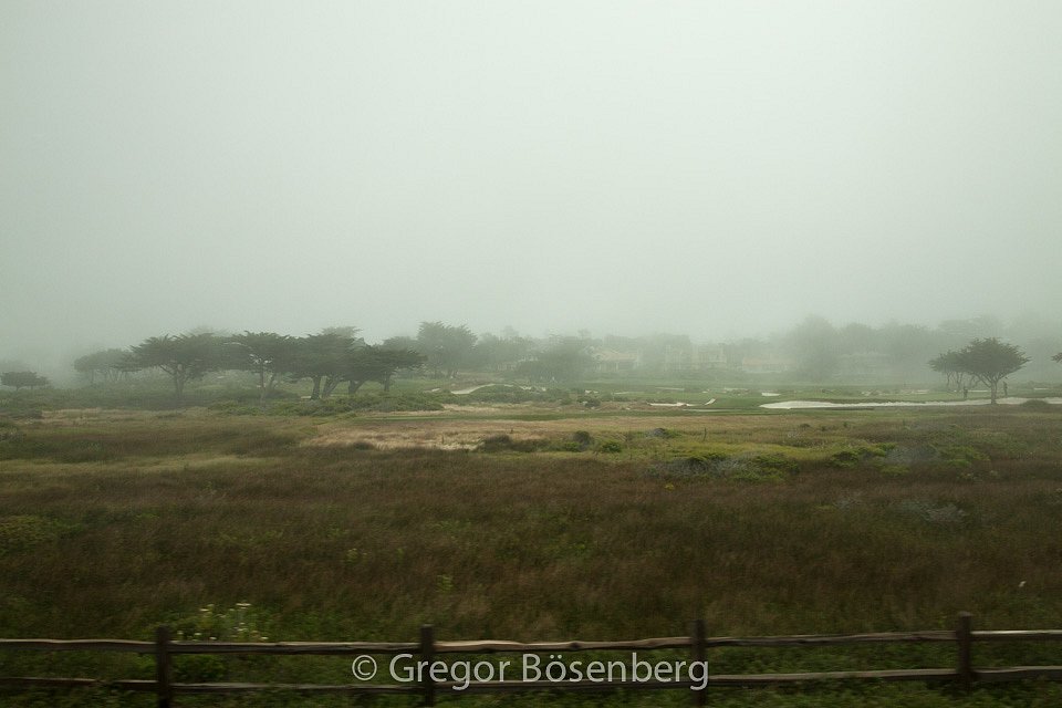 IMG-1205.jpg
