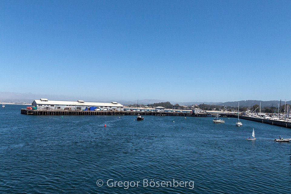 IMG-1248.jpg