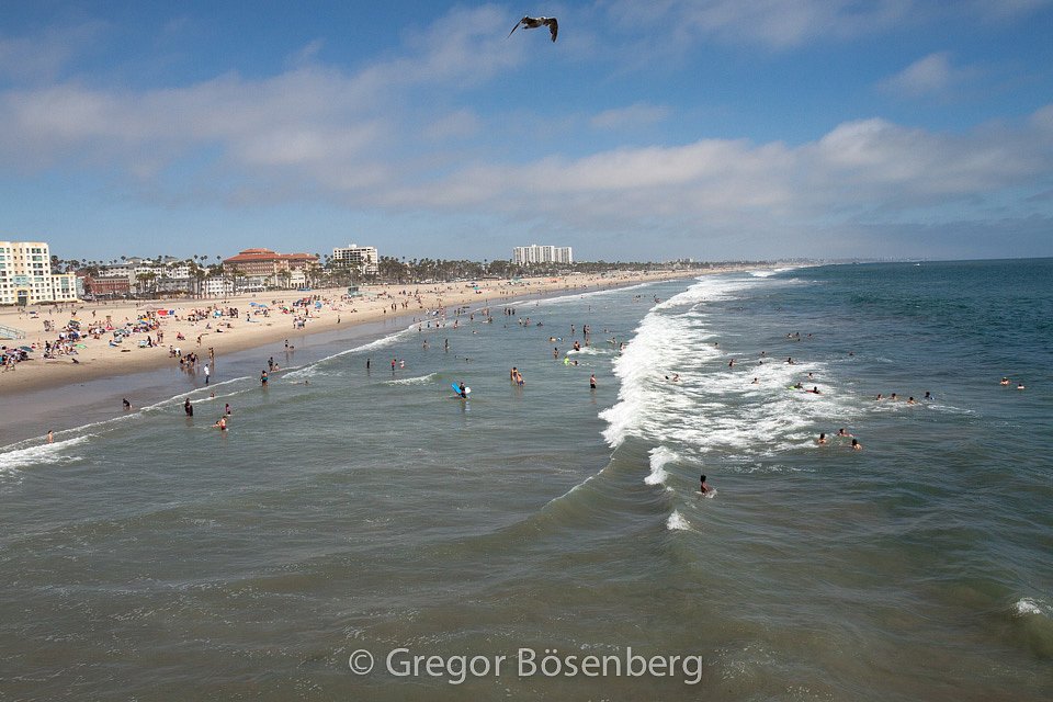 IMG-1277.jpg