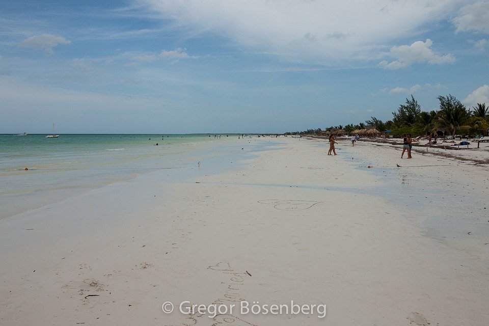 IMG-1691.jpg