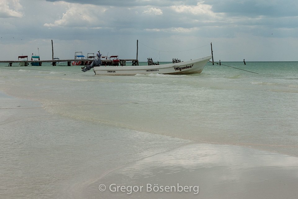 IMG-1693.jpg