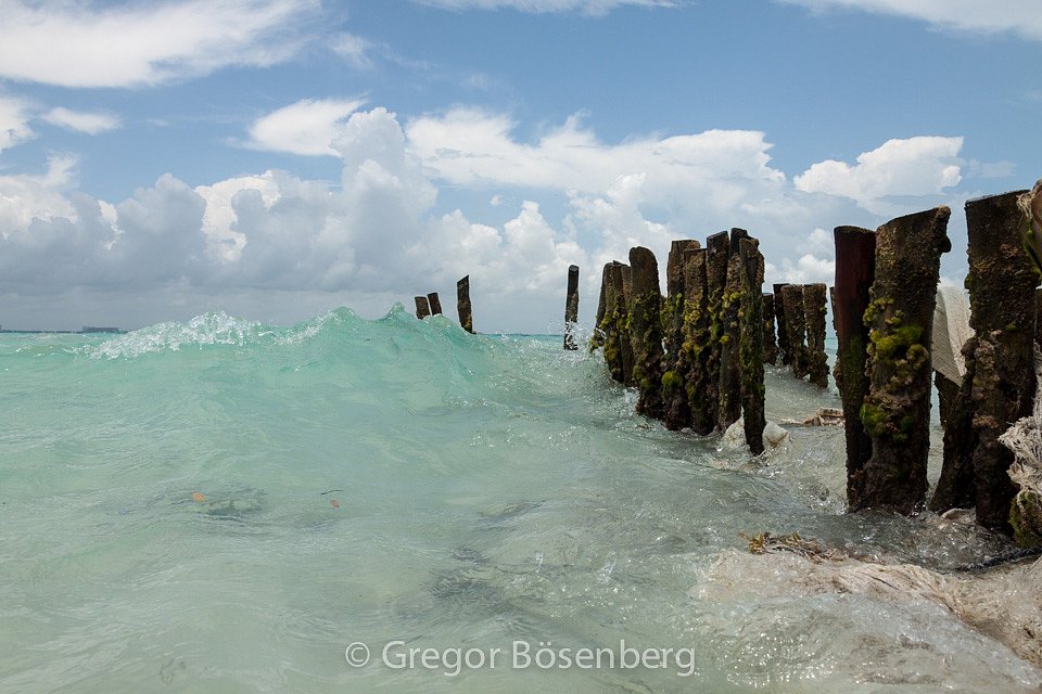 IMG-1726.jpg