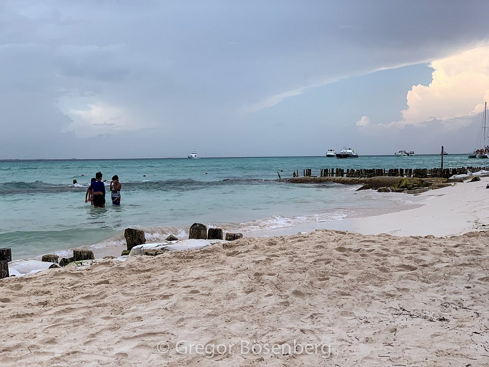 IMG-7266.jpg